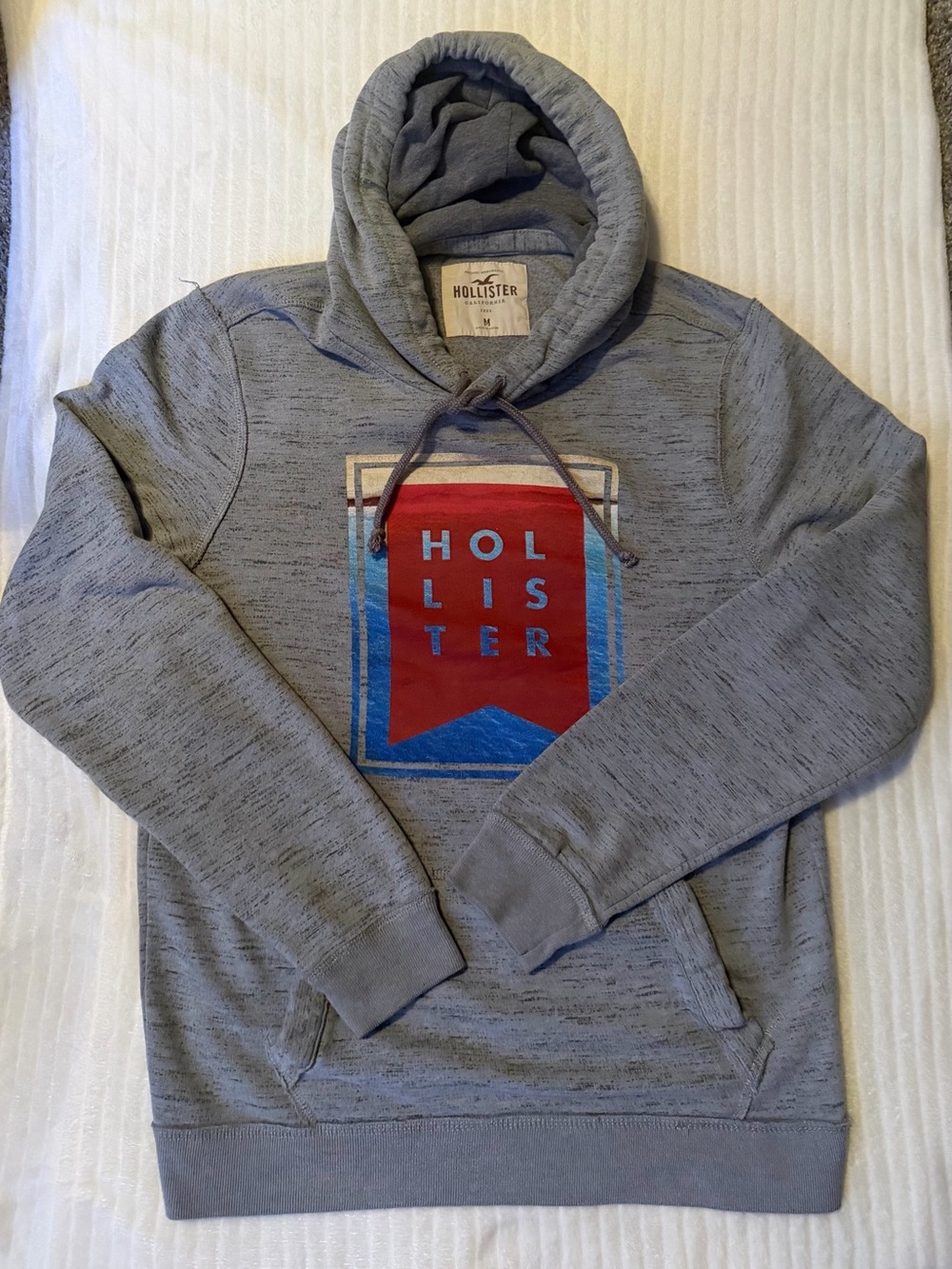 Hollister Grey Graphic Hoodie Size M Unisex Spell Out Logo
